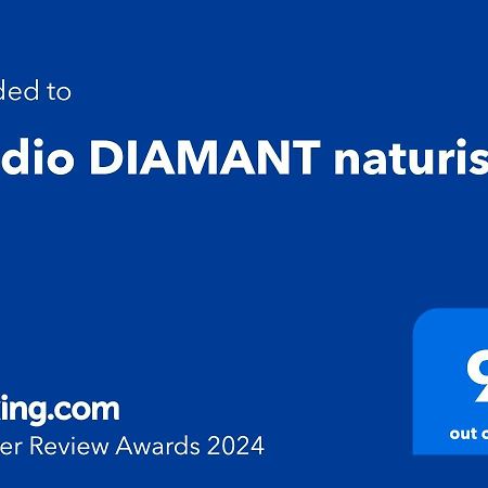Studio Diamant Naturiste Agde Luaran gambar